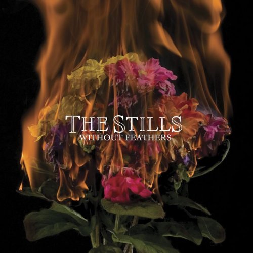 The Stills - Halo The Harpoon Lyrics - Zortam Music