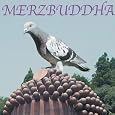 Merzbuddha by Merzbow