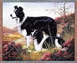 Border Collie Dogs Cotton Tapestry Throw Blanket