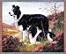 Border Collie Dogs Cotton Tapestry Throw Blanket