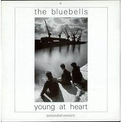 The Bluebells Young At Heart 1984 UK 12" vinyl LONX49