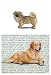Tibetan Spaniel Glass Cutting Board