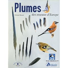 Plumes des oiseaux d'Europe