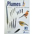 Plumes des oiseaux d'Europe