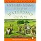 The Best Watership Down Products{ Updated June 3rd 2003!}