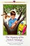 The Mystery of the Hobo's Message (Three Cousins Detective Club) (Book 5)