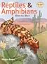 Reptiles & Amphibians Dot-to-Dot (Connect the Dots & Color)