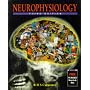 Neurophysiology (Physiological Principles in Medicine)
