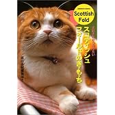 スコティッシュフォールドのき・も・ち