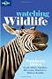 Lonely Planet Watching Wildlife Southe