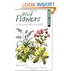 Green Guide to Wild Flowers of Britain and Europe (Green Guides)