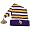Minnesota Vikings