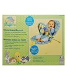 Baby Looney Tunes Deluxe Musical Bouncer - one color, one size