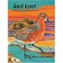 Red Knot: A Shorebird's Incredible Journey