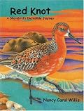 Red Knot: A Shorebird's Incredible Journey