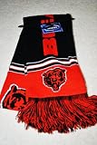 Chicago Bears NFL Stadium two sided Team logo Jersey fashion Scarf