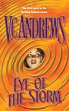 Eye Of The Storm (Hudson)