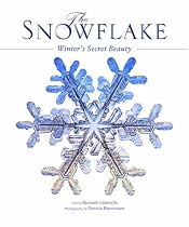 The Snowflake: Winter's Secret Beauty