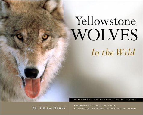 Wildlife
