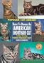American Shorthair Cat (Popular Cat Library)