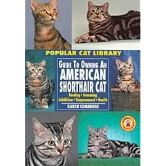 American Shorthair Cat (Popular Cat Library)