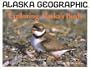 Exploring Alaska's Birds (Alaska Geographic)