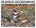 Exploring Alaska's Birds (Alaska Geographic)
