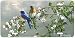 Spring Blossom Bluebirds - Wildlife Art Print - License Plate Tag By Hautman Brothers From Airstrike Image