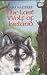 The Last Wolf of Ireland