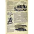 ARTILLERY MILITIA BARRACKS SPANISH BONDHOLDER WHALE
