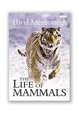 The life of mammals