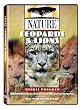 Nature: Leopards and Lions