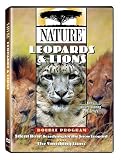 Nature: Leopards and Lions