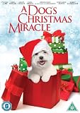 A Dog`s Christmas Miracle ( My Dog`s Christmas Miracle ) [ NON-USA FORMAT, PAL, Reg.2 Import - United Kingdom ]
