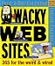 Wacky Web Sites Page-A-Day Calendar 2007