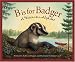 B is for Badger: A Wisconsin Alphabet Edition 1. (Discover America State By State. Alphabet Series)