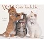 What Cats Teach Us 2007 Calendar: Life's Lessons Learned From Our Feline Friends : Don't Hesitate to show affection to those you love