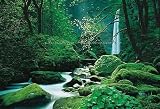 Ellowa Falls, Oregon Wall Mural