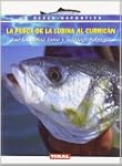 Pesca De La Lubina Al Currican