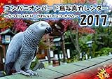 コンパニオンバード インコ 鳥A4写真カレンダー2017 (うつくしい鳥 可愛いインコ・オウム)