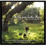 No One Loved Gorillas More: Dian Fossey: Letters from the Mist