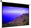 Screen Innovations HDTV 110" Matte White 1.1 Theater Sensation Motorized Screen