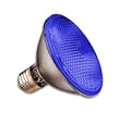 75 Watt PAR30 Halogen Flood Light Bulb / Blue Flood / 75PAR30