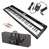 Korg microSTATION Synth STAGE BUNDLE w/ Carrying Case & Cable