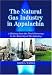 Book Natural Gas Industry in Appalachia: A History from the First Discovery to the Maturity of the Industry