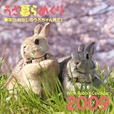 『うさ暮らめくり 2009 ~毎日、わたしのうさちゃん見て! <卓上>』の写真