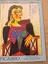 Pablo Picasso 1881 1973 Genius of the Century