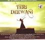 Teri Deewani (Sufi / Pop Songs / Indian Music)