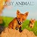 Cute Adorable Baby Animals 2017 Monthly Wall Calendar, 12