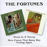 Storm in a Teacup / Here Comes That Rainy Day